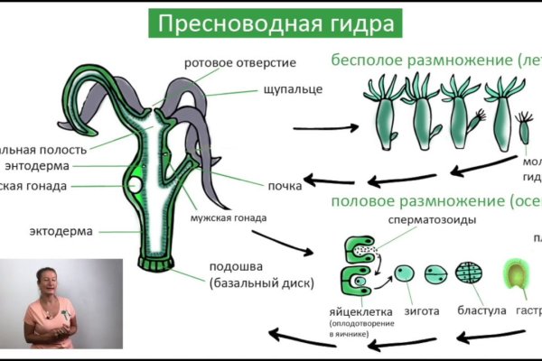 Кракен без тора